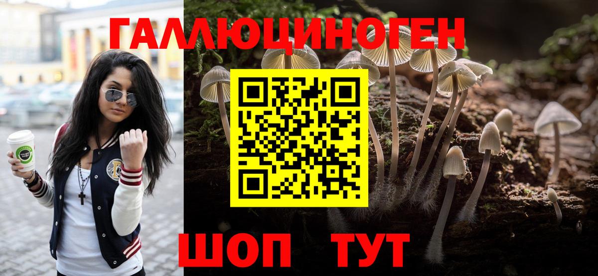 Жигулёвск  Галлюциногенные грибы мухоморы  Вход с VPN 